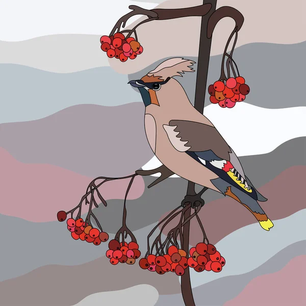 Vector Winter Bird Rowan Branch Berries Can Used Background Textile — Stock Vector