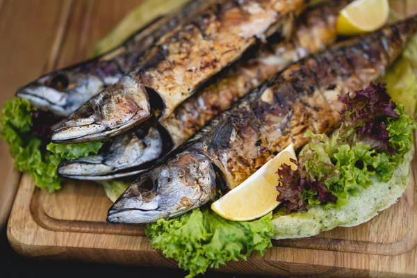 Delicious Baked Fish Salad — Stock Photo, Image