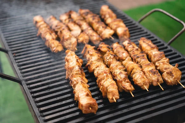 Delicious Fragrant Meat Skewers Grill — Stock fotografie
