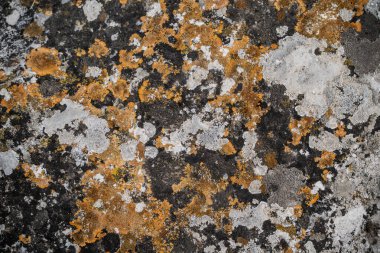 closeup texture cracked wall