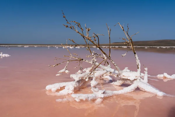 beautiful landscape of a pink salt lake