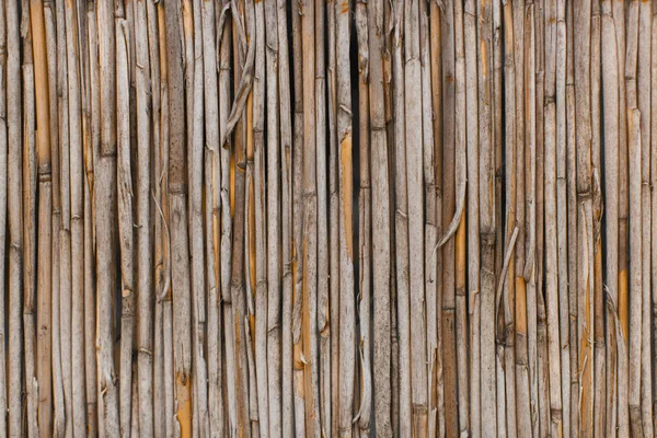 Texture Dry Reeds Fence Roofing Material — Stock Photo, Image