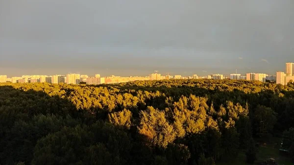 森の上にモスクワの景色のスカイライン明るい夕日 — ストック写真