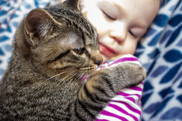 Barnet Leker Och Kramar Sin Katt Bästa Vän — Stockfoto