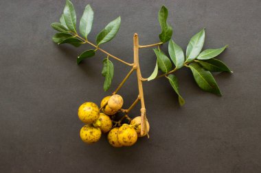 Longan meyveleri. Taze longan veya kelengkeng beyaz arkaplanda izole et