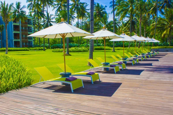 Beautiful Tropical Beach Front Hotel Resort Swimming Pool Umbrella Coconuts — Fotografia de Stock