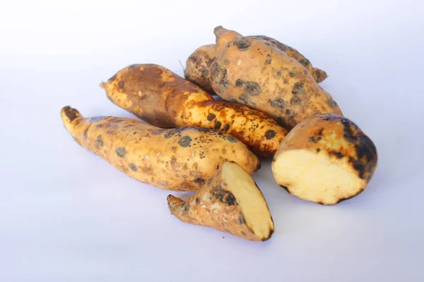 Süßkartoffel Cilembu Ubi Cilembu Kultivar — Stockfoto