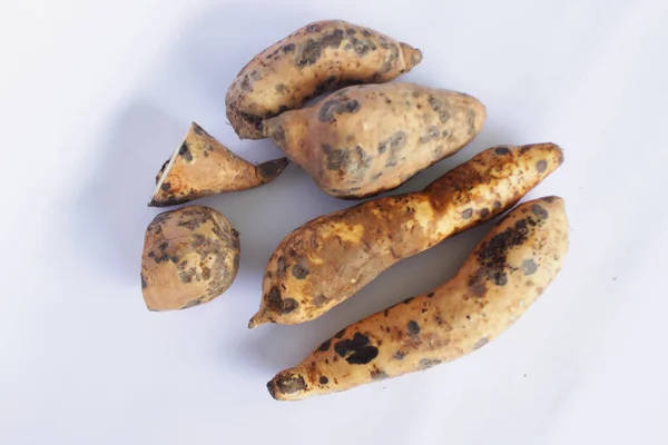 Sweet Potato Cilembu Ubi Cilembu Kultivar — Stockfoto