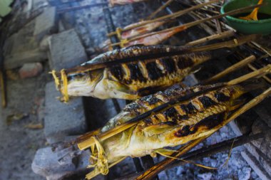 Izgara balık, ızgara balık Nil Tilapia ızgarada sıcak kömür.