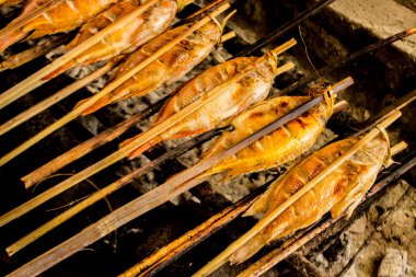 Izgara balık, ızgara balık Nil Tilapia ızgarada sıcak kömür.