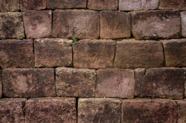 Sate kambing ya da sate klatak ya da kuzu satay ya da keçi eti satay dilimlenmiş lahana, kırmızı soğan, kırmızı biber, soya soslu domates ile servis edilir. izole edilmiş beyaz arkaplan 