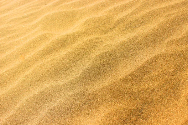 해변의 모래의 — 스톡 사진