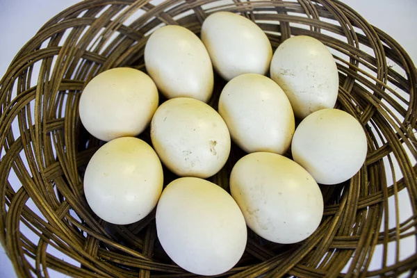 eggs in basket. egg free-range chicken or egg village chicken or egg ayam kampong on basket isolated on white background