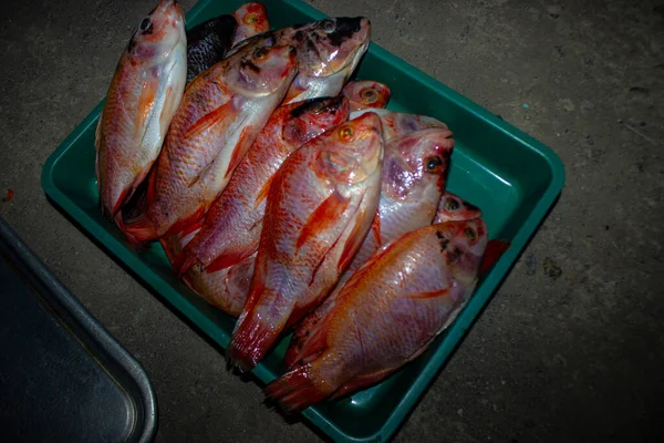 Pescado Parrilla Tilapia Del Nilo Parrilla Carbón Pescado Parrilla Tilapia —  Fotos de Stock