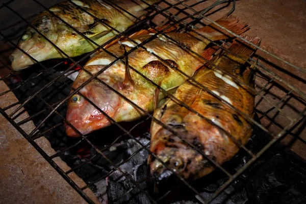 Grilled Fish Nile Tilapia Charcoal Grill Grilled Fish Nile Tilapia — Foto de Stock