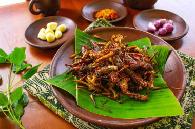 Kızarmış çekirge ya da belalang goreng sambal, soğan, sarımsak ve ahşap arka planda kırmızı biber ile servis edilen geleneksel Asya yemeğidir.