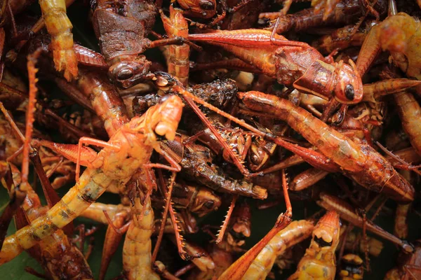 Fried Grasshopper Belalang Goreng Traditional Food Southeast Asia Served Sambal — Stock Photo, Image