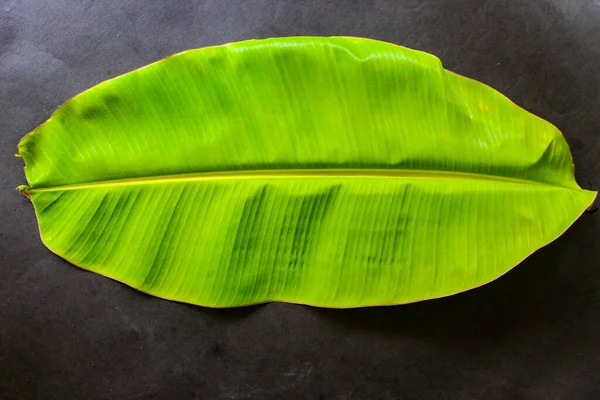 Fresh Banana Green Leaf Isolated Black Background — 스톡 사진