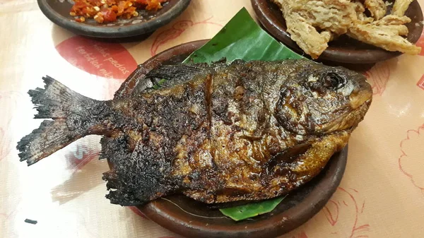 Grilled Fish Grilled Fish Nile Tilapia Grilled Hot Charcoal — Foto Stock