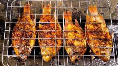 Izgara balık, ızgara balık Nil Tilapia ızgarada sıcak kömür.