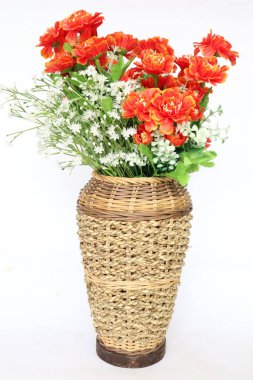 Plastik çiçek sepetinde ya da rattan sepetinde ya da beyaz arka planda izole edilmiş rattan tenceresinde bulunur. İç dekorasyon