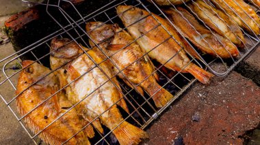 Izgara balık, ızgara balık Nil Tilapia ızgarada sıcak kömür.