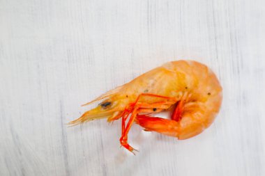 Beyaz arka planda karides ya da karides izole edilmiş beyaz arka planda karides ya da karides