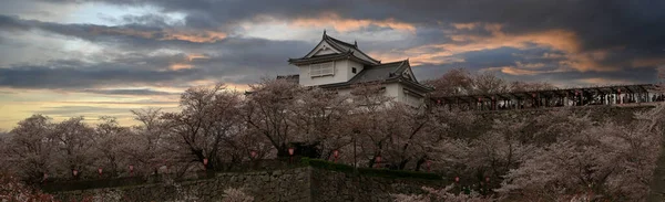 Castillo Okayama Tsuyama Parque Kakuzan Cuando Florecen Los Cerezos Flor — Foto de Stock