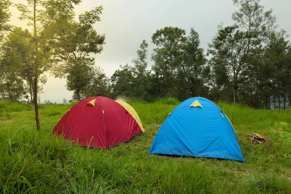 tent or dome tent camping in mountain meadows in the morning. Camp