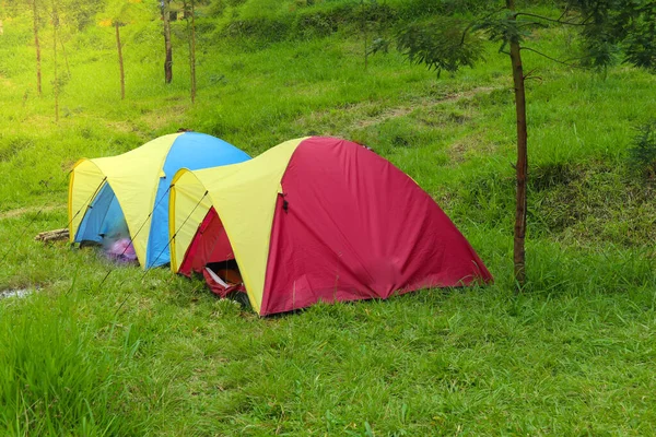 Tenda Atau Kubah Berkemah Padang Rumput Gunung Pagi Hari Kamp — Stok Foto