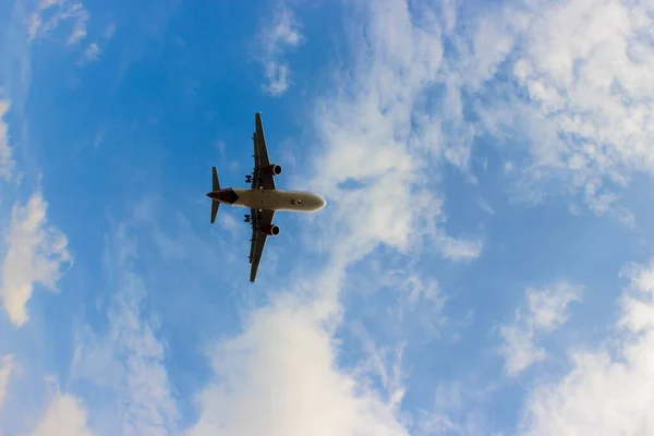 Photo Low Angle View Commercial Plane Landing Passenger Plane Landing — Zdjęcie stockowe