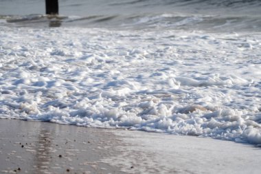 Golden Retriever kumsalda yuvarlanıyor