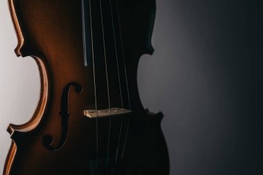 close view of a violin and shadows