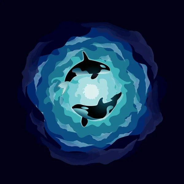 两只虎鲸在水里 — 图库矢量图片