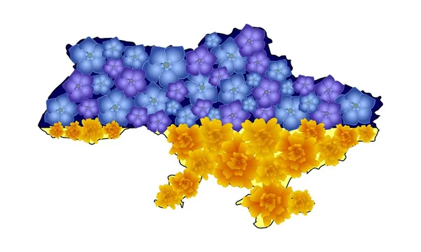 Mapa Ukrajiny Žlutých Modrých Barvách Národní Květiny — Stockový vektor