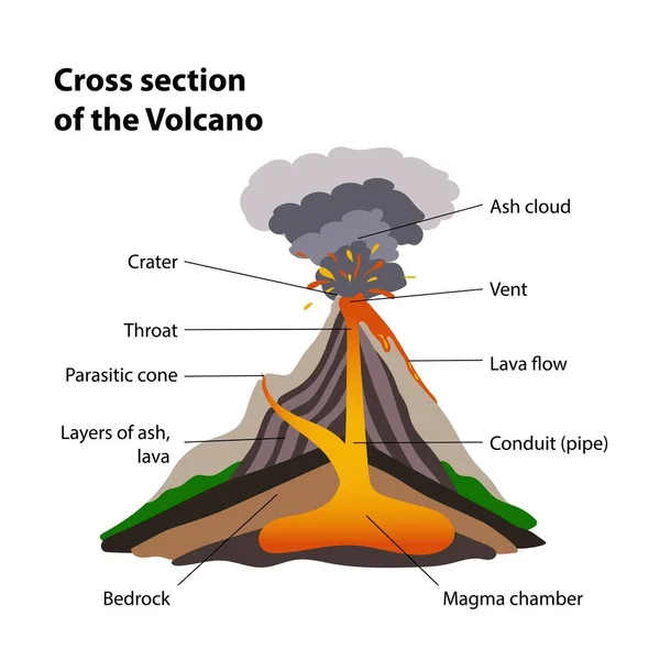 火山の断面図 — ストックベクタ