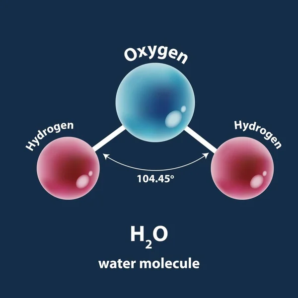 Estrutura Molécula Água —  Vetores de Stock