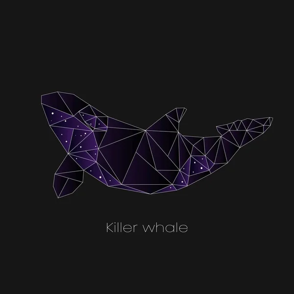Polygonal drawing of killer whale