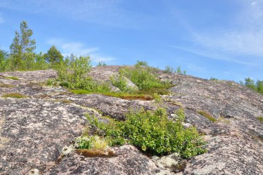 Kuzov takımadaları Beyaz Deniz 'de. Beyaz Deniz 'deki adalar. Rusya