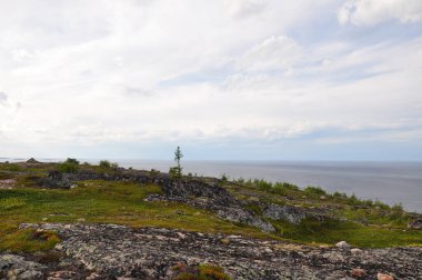 Kuzov takımadaları Beyaz Deniz 'de. Beyaz Deniz 'deki adalar. Rusya