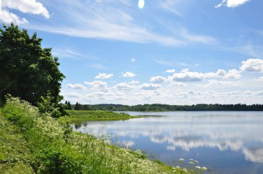 Borodaevskoe Gölü. Doğa. Ferapontovo. Kirillovsky bölgesi. Vologodskaya Oblastı. Rusya