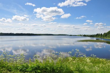 Borodaevskoe Gölü. Doğa. Ferapontovo. Kirillovsky bölgesi. Vologodskaya Oblastı. Rusya