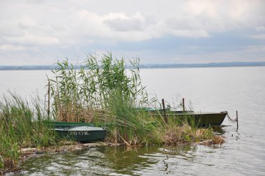 Rostov. Nero Gölü kıyısında. Rusya