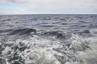 Beyaz Deniz. Solovetsky Adaları. Karelia Cumhuriyeti. Rusya 'nın kuzeyi