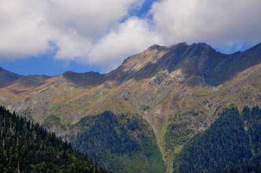 Abhazya 'nın manzaraları. Dağlar. Orman. Karadeniz. Abhazya