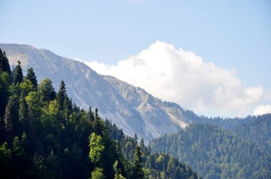 Abhazya 'nın manzaraları. Dağlar. Orman. Karadeniz. Abhazya