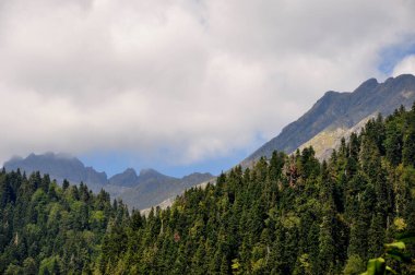 Abhazya 'nın manzaraları. Dağlar. Orman. Karadeniz. Abhazya