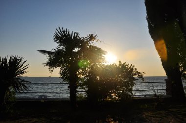 Gagra şehri. Sokaklar ve binalar. Deniz kıyısındaki tatil. Karadeniz. Abhazya