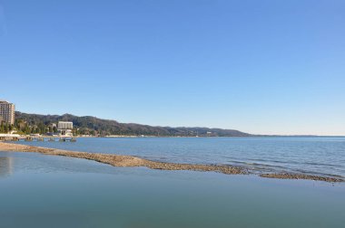 Sukhumi şehri. Deniz kıyısı. Parkta. Karadeniz. Abhazya