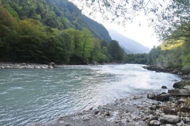 Dağ nehri. Taşlar. Orman. Dağlar. Abhazya